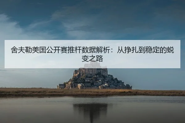 舍夫勒美国公开赛推杆数据解析：从挣扎到稳定的蜕变之路